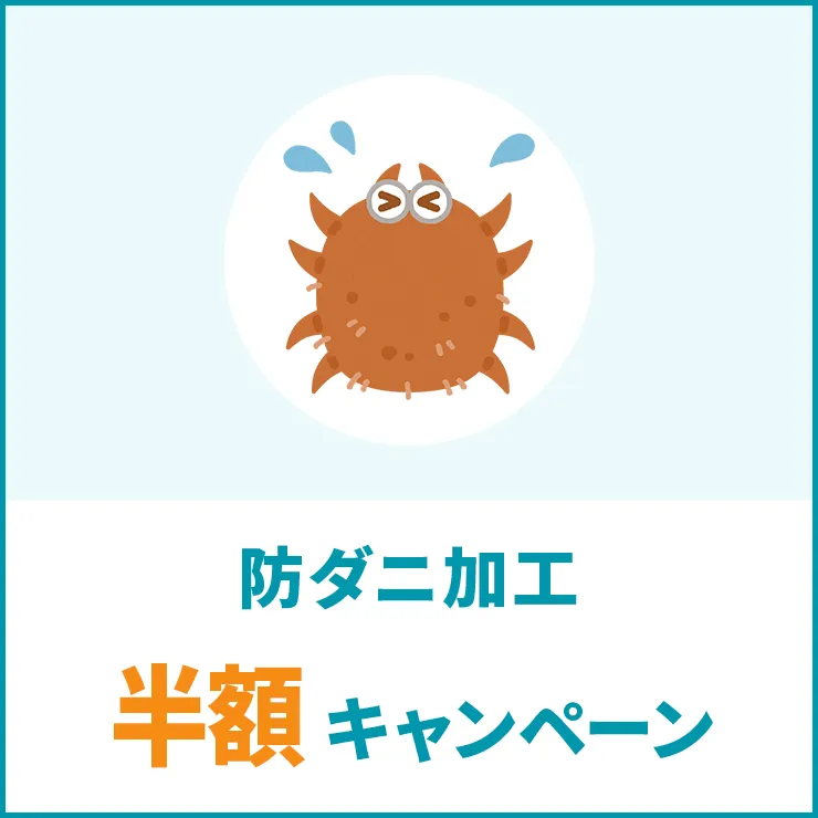防ダニ加工 半額キャンペーン