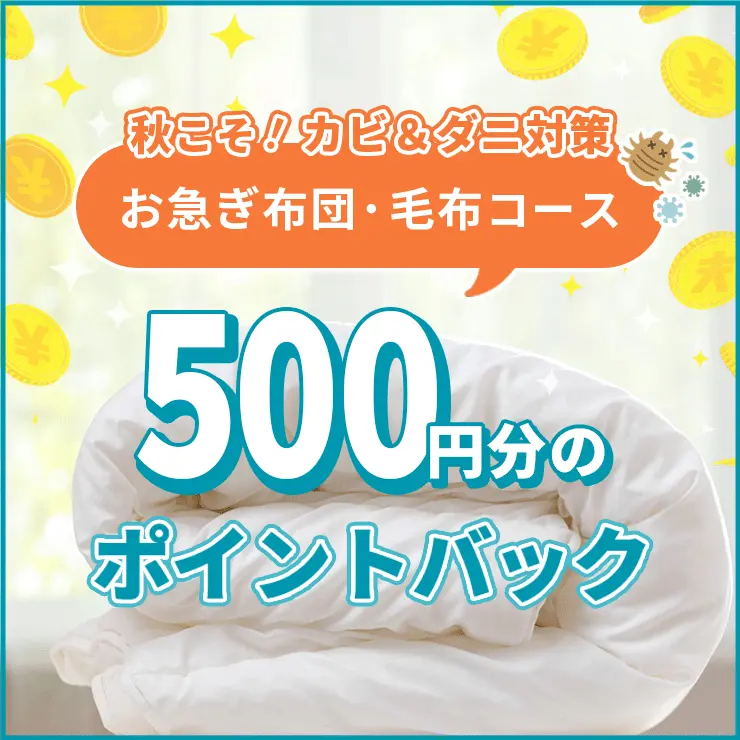 布団・毛布お急ぎ利用で500ポイントバックキャンペーン